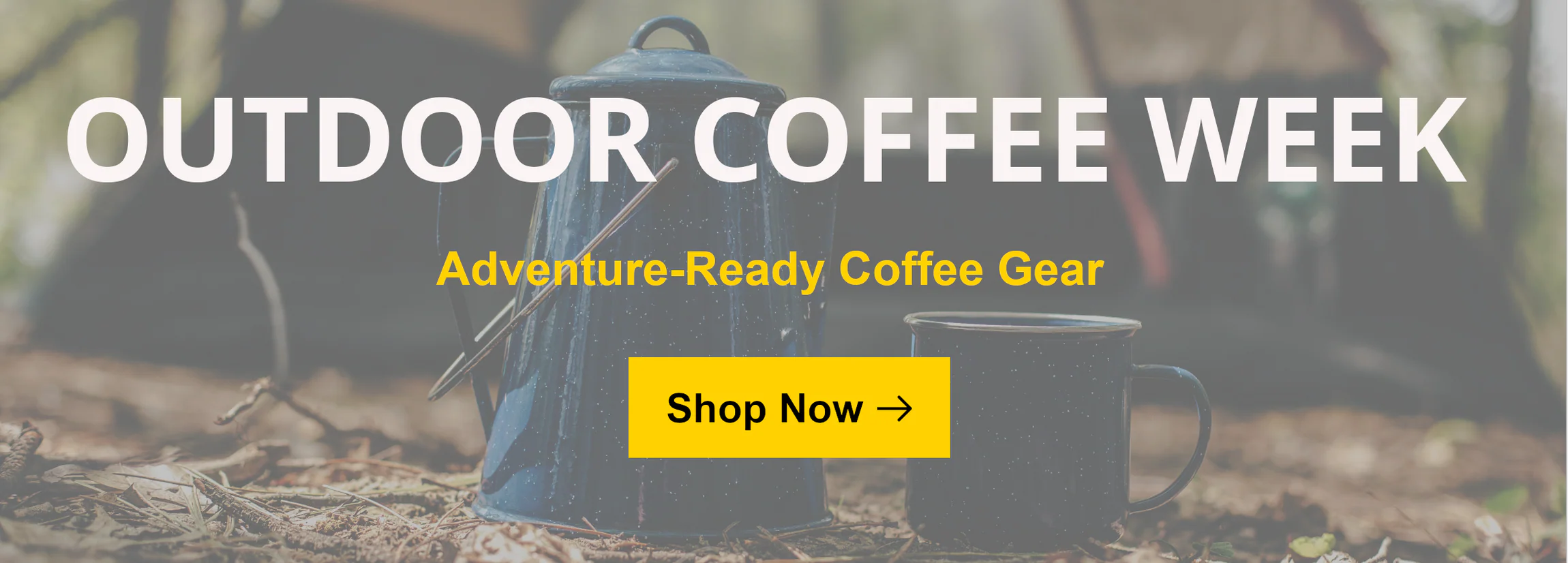 Elevate Your Daily Rituals